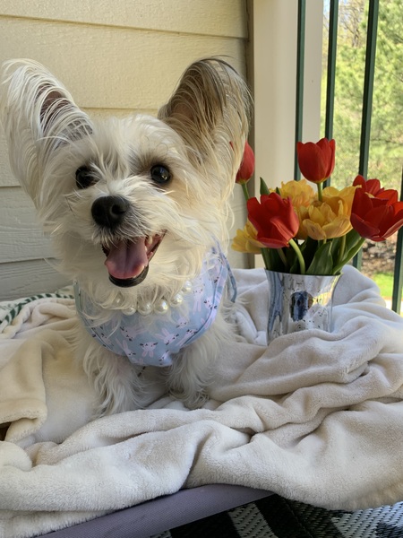 Entry image for Margo. Clicking this image will show a larger photo
