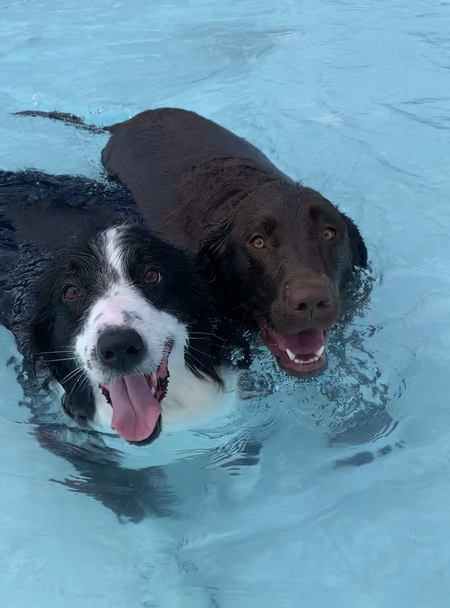 Cooper & Clyde