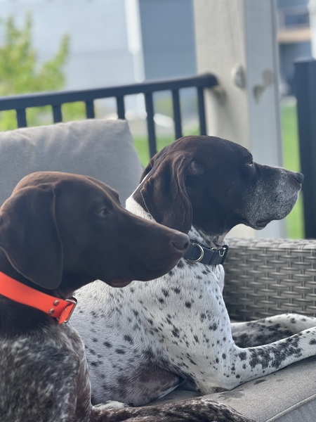 Wilson and Gunner
