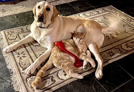 Jude & Lolo
