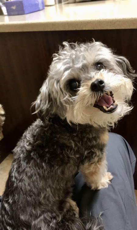 Tobey 