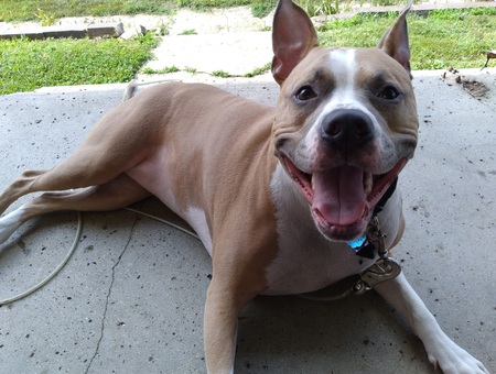 Coko