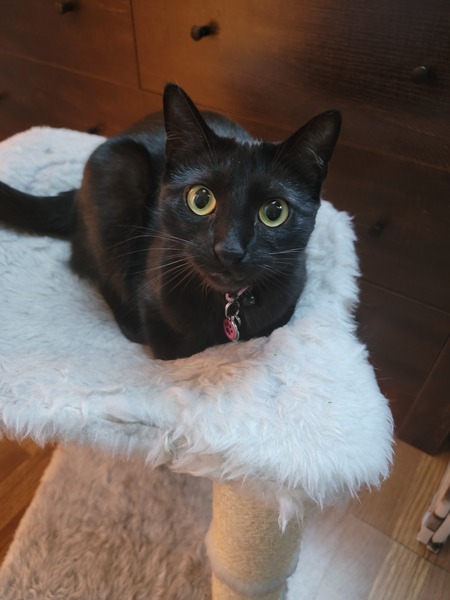 Lucy