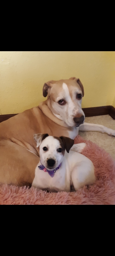 Layla and Daisy 
