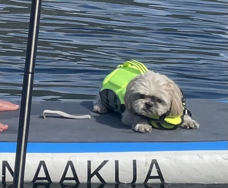 Gizmo at Cultus lake