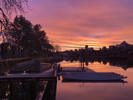 Alder Bay Sunrise 