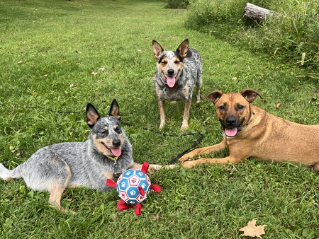 Soldier, Josey, and Norman