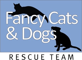Logo for FCDRT 2024 Calendar Contest!