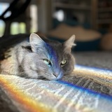 Entry image for Elowyn the Grey