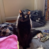 Entry image for Binx