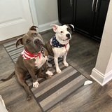 Entry image for Scarlett & Ruby Roo