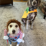 Entry image for Charlie and Josie 
