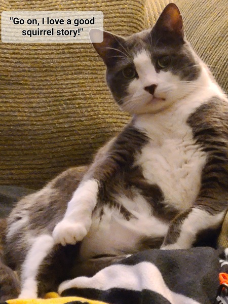 Entry image for Charlie . Clicking this image will show a larger photo
