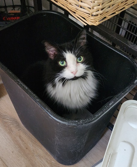 Entry image for Max. Clicking this image will show a larger photo