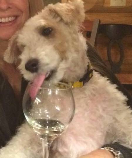 Baxter