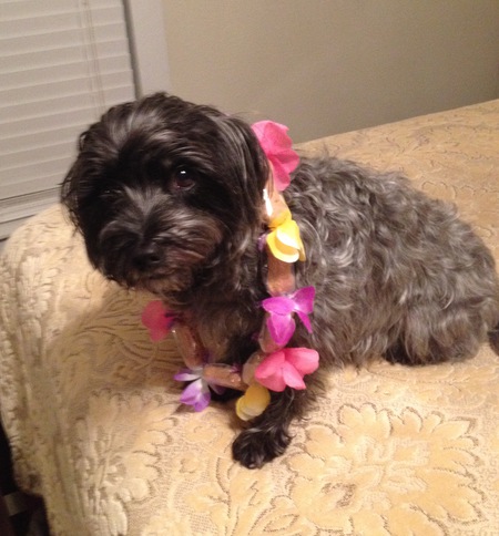 Maggie