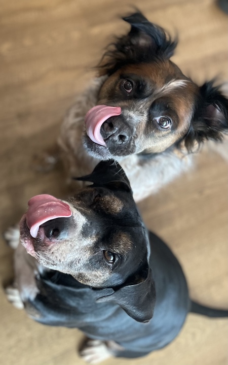 Oliver & Baxter