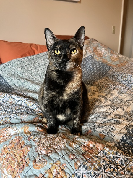 Penny