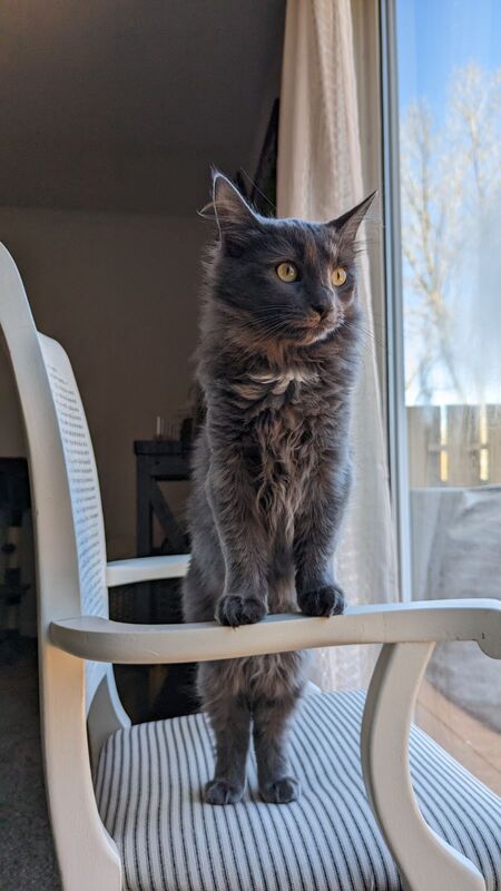 Walter