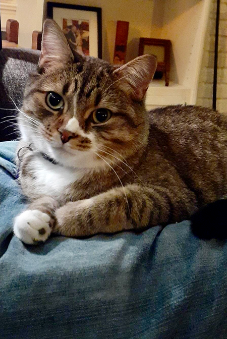 Tiberius