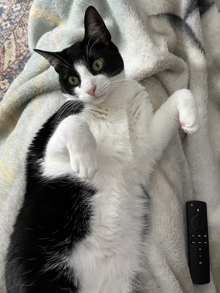 Finley