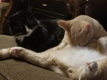 Frankie and Eggleston 