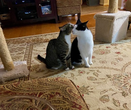 Scottie and Zepplin