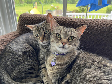 Zuki (L) Anoki (R)