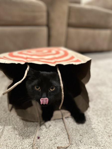 Indigo