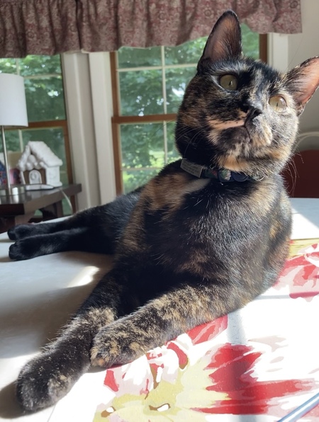 Pepper