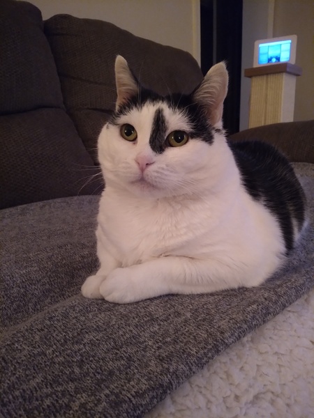 Luna