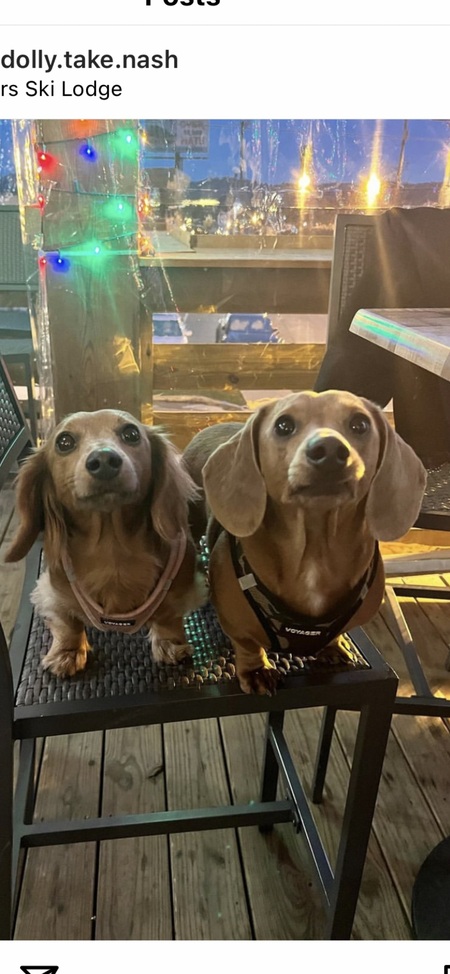 Dolly & Ollie
