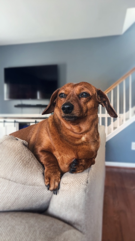 Penny