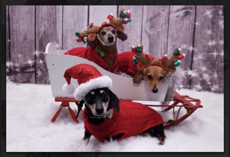 Zoey, Deeds and Karma