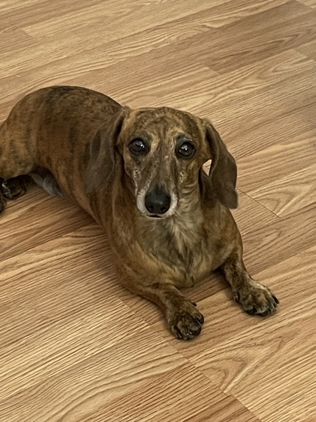 Ella