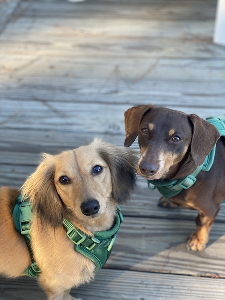 Fiona and Daisy Jane