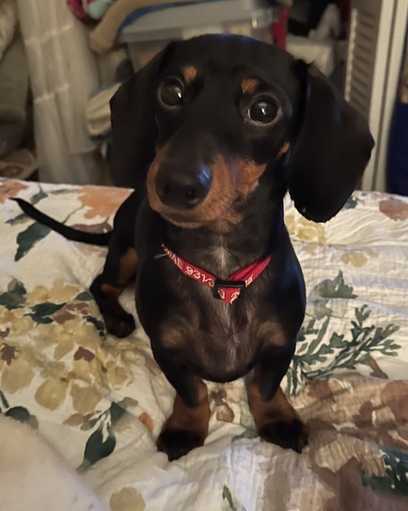 Ellie Mae