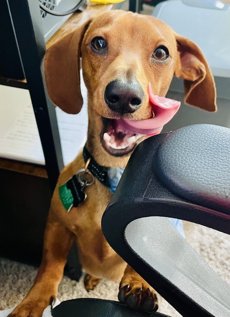 Oscar Mayer