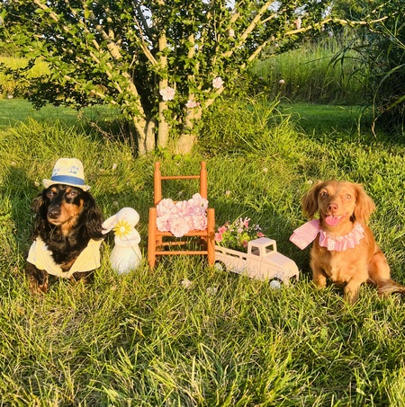 Charlie and Daisy