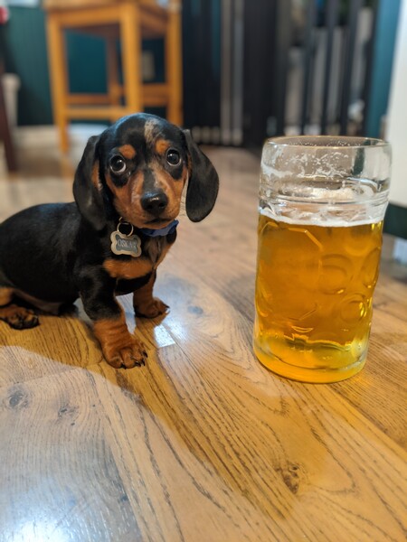 Oskar