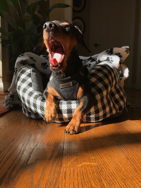 jethro