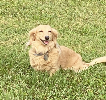Tequila Lynn