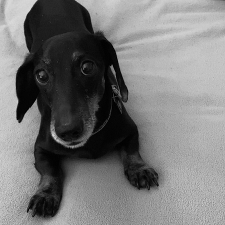 Winston 
