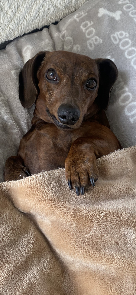 Oskar 