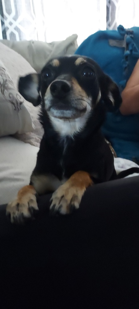 Bailey 