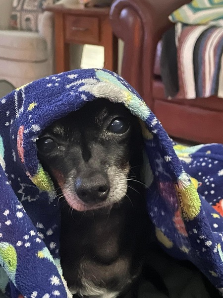 Jet