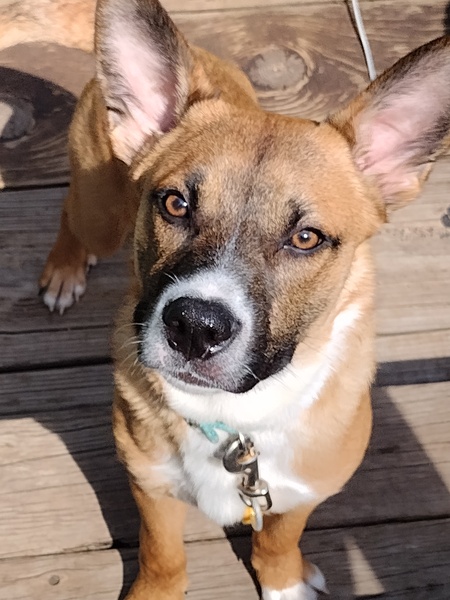 Diego 
