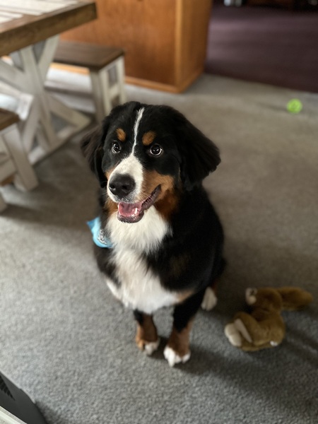 Baxter