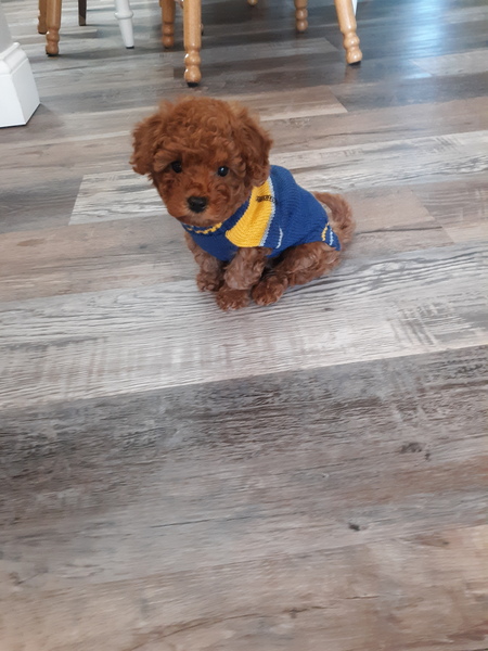 Milo