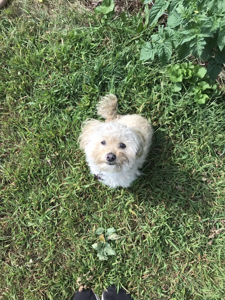 Maddie